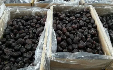 تصویر 3 از خرما مضافتی اصل و شرایط ثبت سفارش حرفه ای